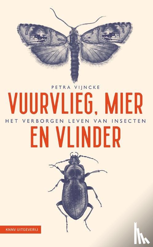Vijncke, Petra - Vuurvlieg, mier en vlinder