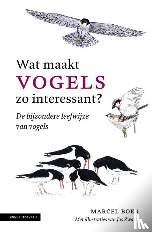 Boer, Marcel - Wat maakt vogels zo interessant