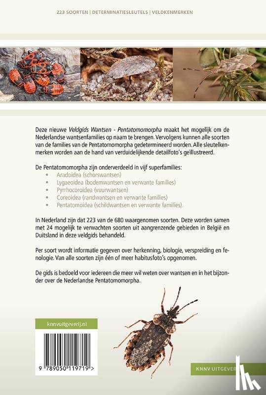 Aukema, Berend, Heijerman, Theodoor - Veldgids Wantsen