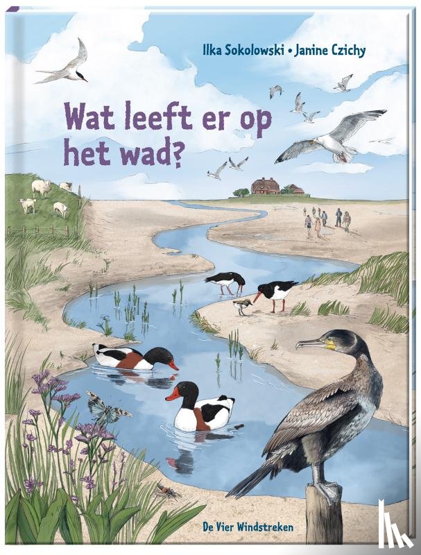 Sokolowski, Ilka - Wat leeft er op het wad?