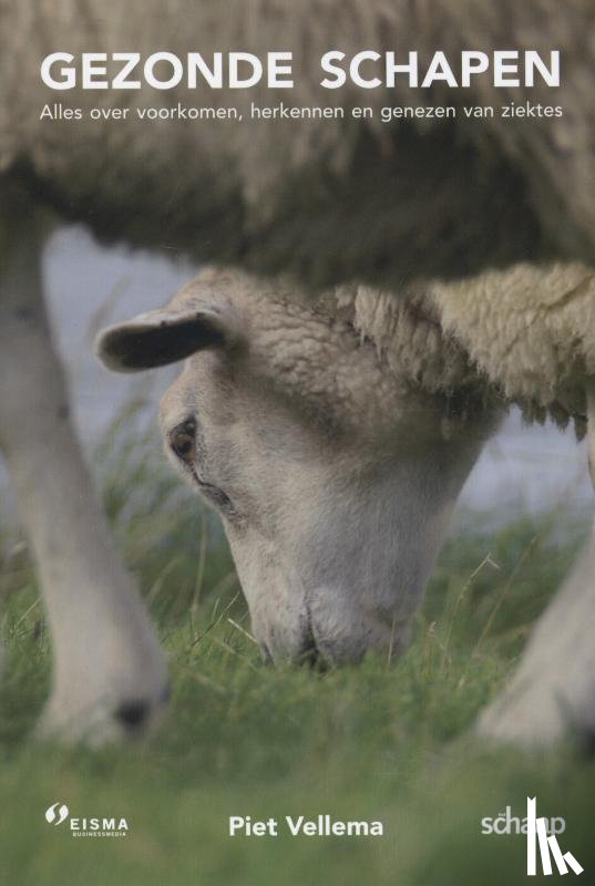 Vellema, Piet - Gezonde schapen