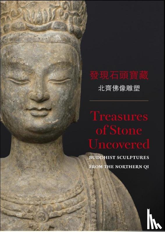 Veen, Saskia van - Treasures of stone uncovered