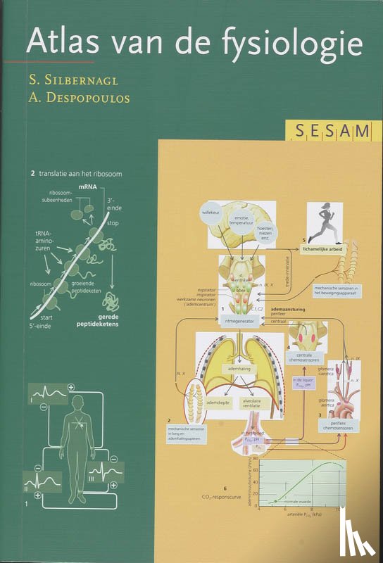 Silbernagl, S. - Sesam Atlas van de fysiologie