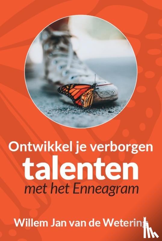 Wetering, Willem Jan van de - Ontwikkel je verborgen talenten met het enneagram
