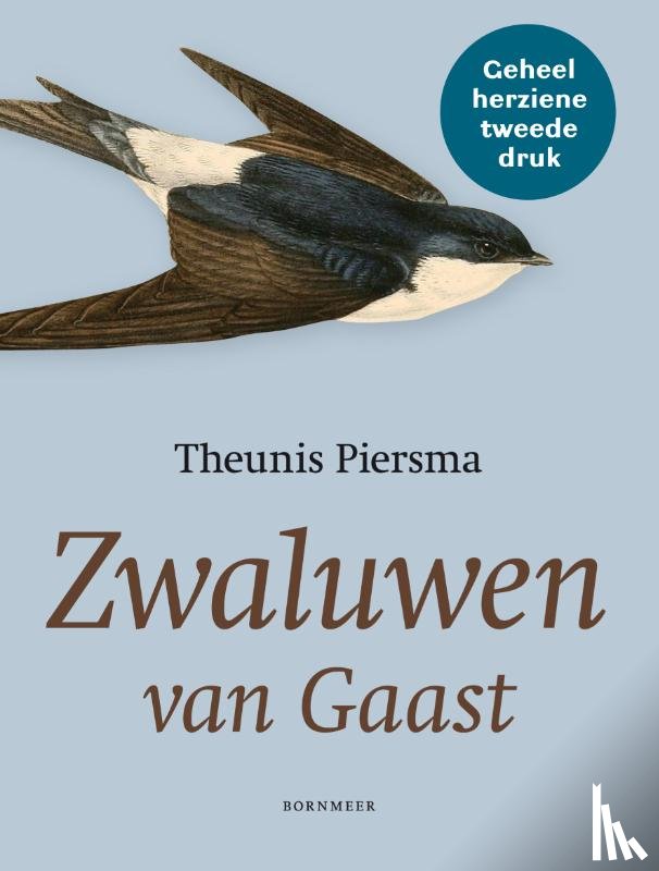 Piersma, Theunis - Zwaluwen van Gaast