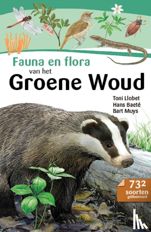 Muys, Bart, Baeté, Hans, Llobet, Toni - Fauna en flora van het Groene Woud