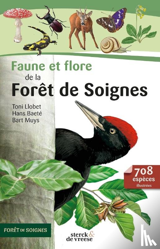 Muys, Bart, Baeté, Hans, Llobet, Toni - Faune et flore de la Forêt de Soignes