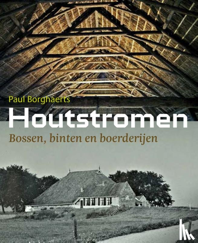 Borghaerts, Paul - Houtstromen