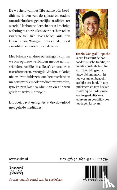 Wangyal Rinpoche, Tenzin - De ware bron van heling