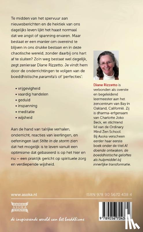 Rizzetto, Diane - Stilte in de storm
