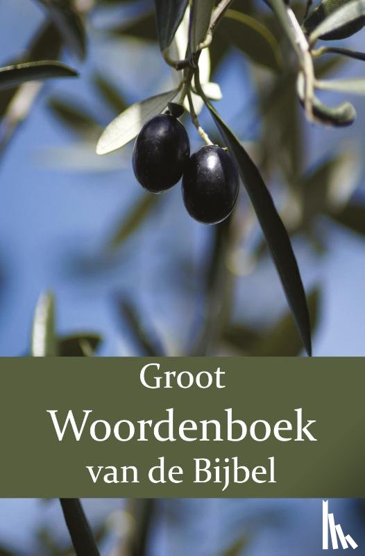 Moll, W., Veth, P.J., Domela Nieuwenhuis, F.J. - Groot Woordenboek van de Bijbel A-H