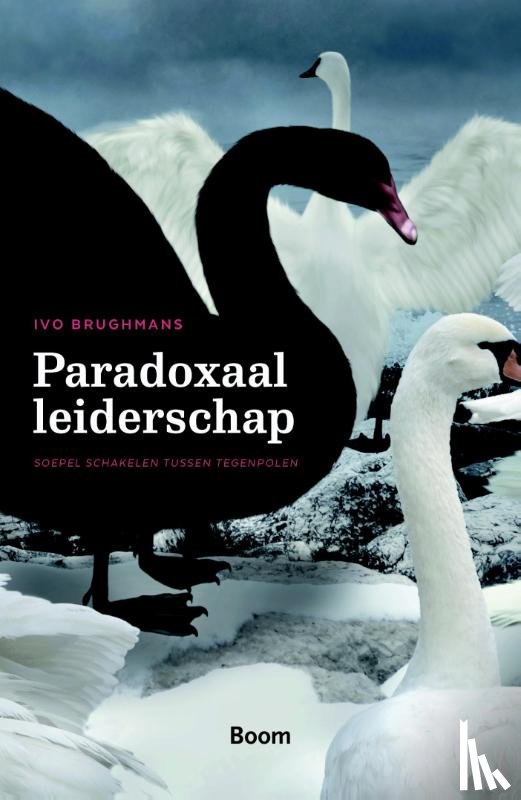 Brughmans, Ivo - Paradoxaal leiderschap