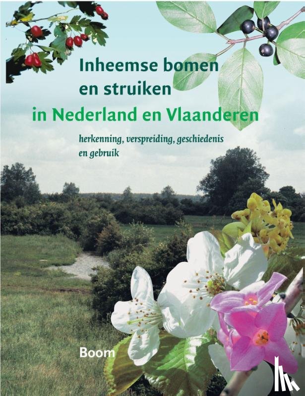 Maes, Bert - Inheemse bomen en struiken in Nederland en Vlaanderen