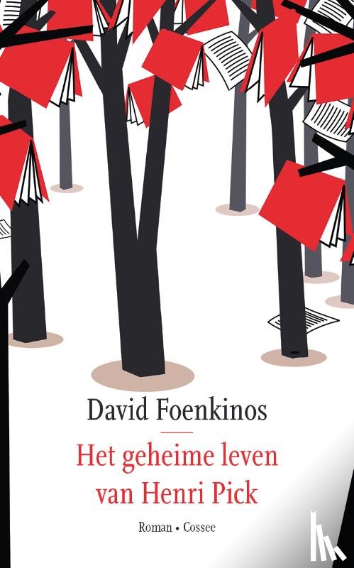 Foenkinos, David - Het geheime leven van Henri Pick