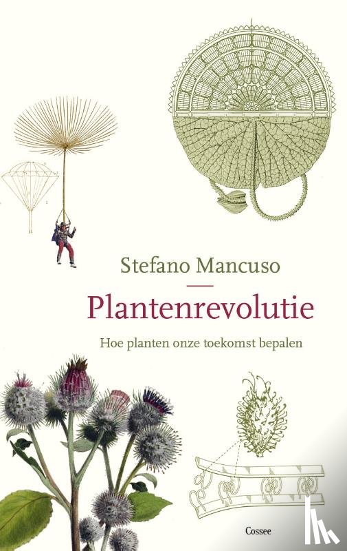 Mancuso, Stefano - Plantenrevolutie