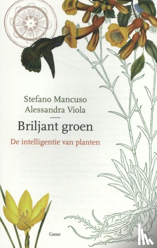 Mancuso, Stefano, Viola, Allessandra - Briljant groen