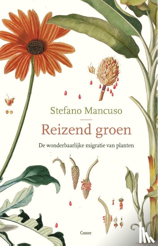 Mancuso, Stefano - Reizend groen - De wonderbaarlijke migratie van planten
