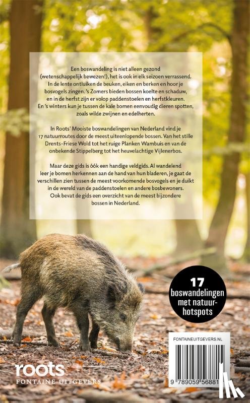 Roots - De mooiste boswandelingen van Nederland