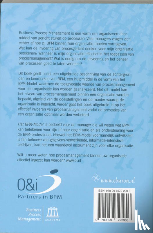 Wit, Dirk de, Tolsma, Jos - Effectief procesmanagement