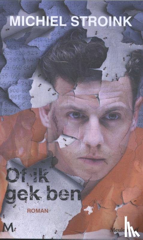 Stroink, Michiel - Of ik gek ben