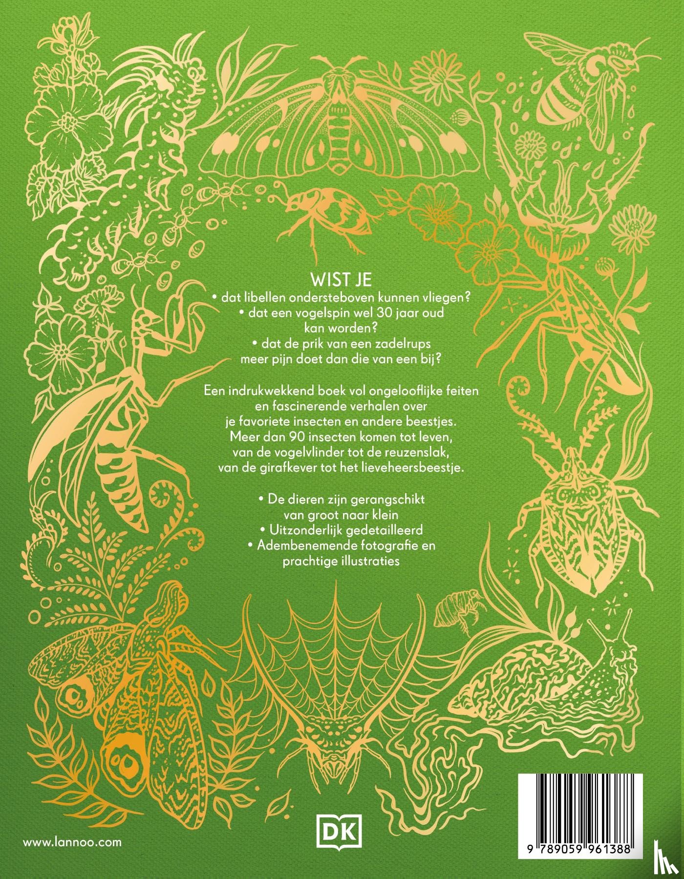 French, Jess - Het dikke boek van alle bijzondere insecten en andere beestjes