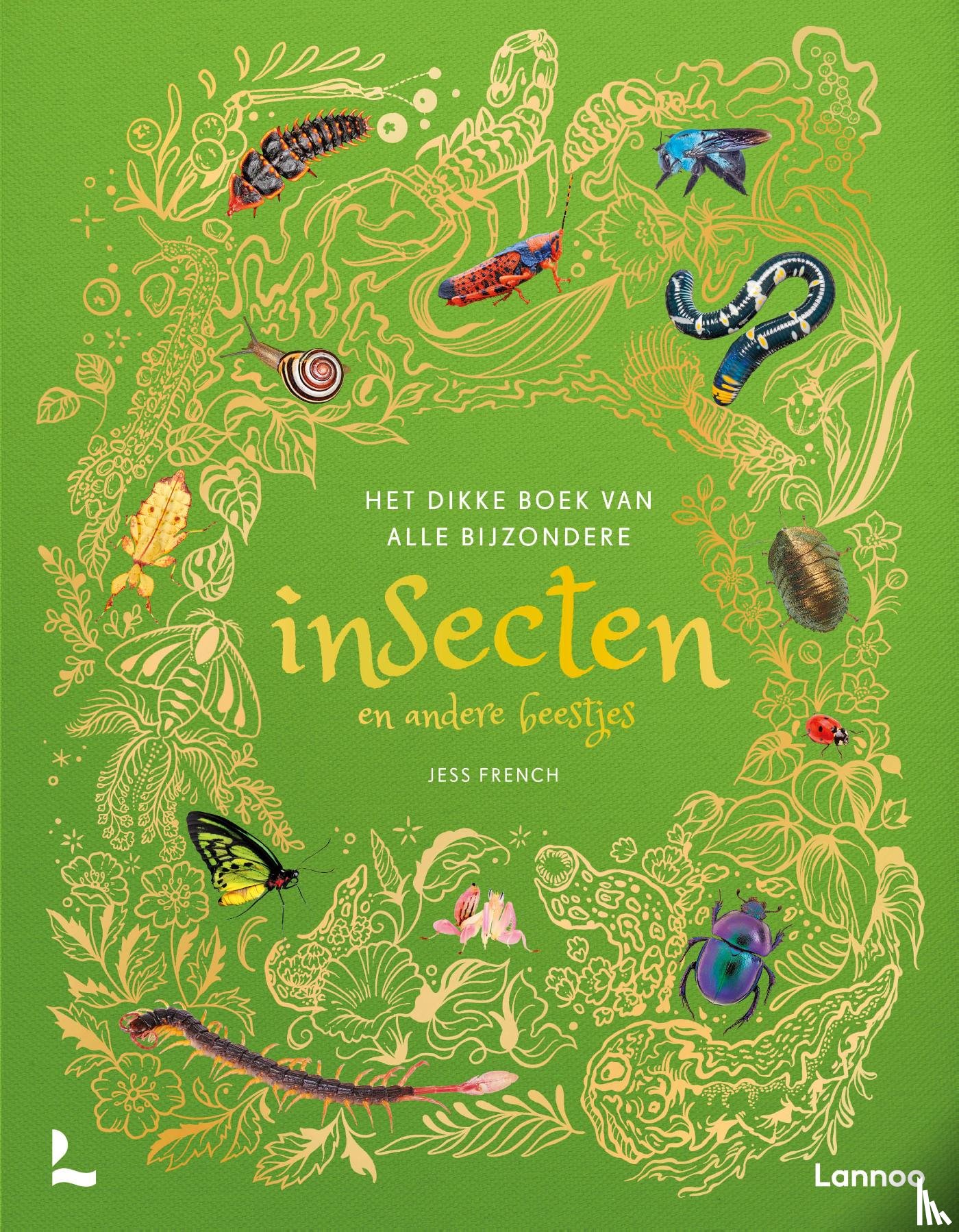 French, Jess - Het dikke boek van alle bijzondere insecten en andere beestjes