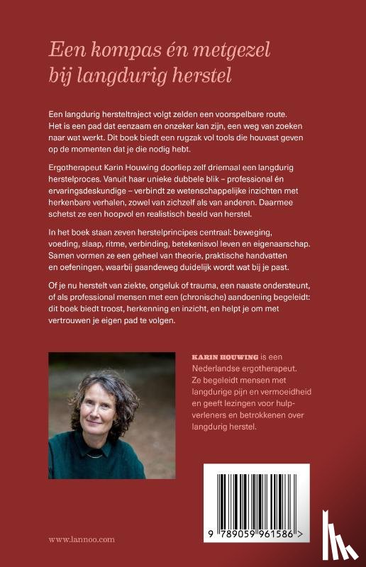 Houwing, Karin - Het slingerpad van herstel