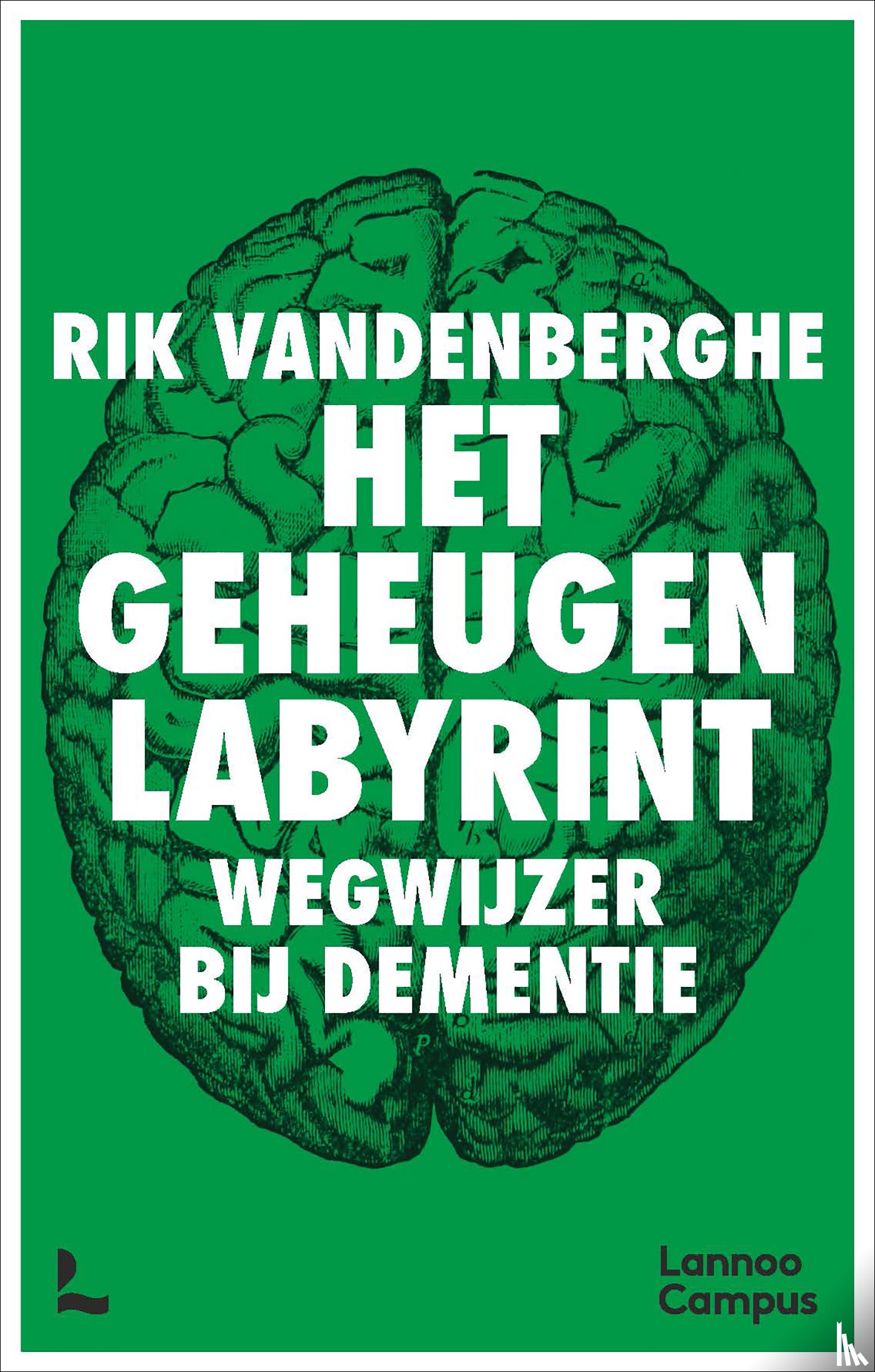Vandenberghe, Rik - Het geheugenlabyrint