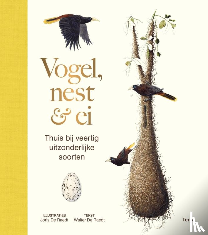 Raedt, Walter De - Vogel, nest & ei