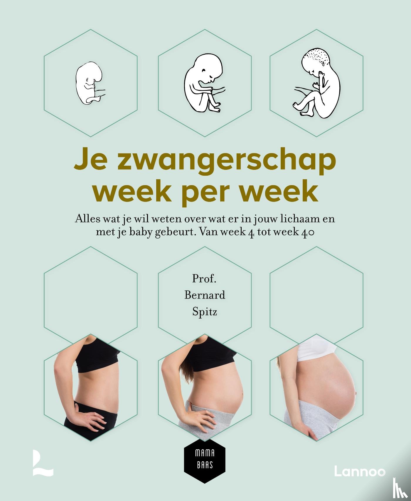 Mama Baas - Je zwangerschap week per week