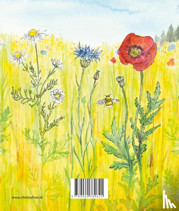 Pluim, Sophie - Zomer
