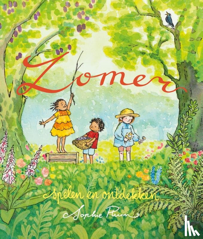 Pluim, Sophie - Zomer