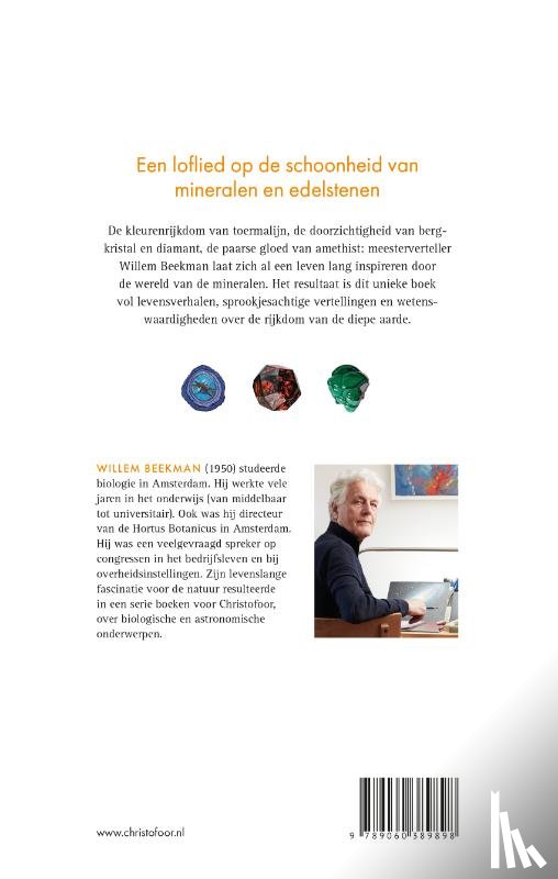 Beekman, Willem - Gestold licht