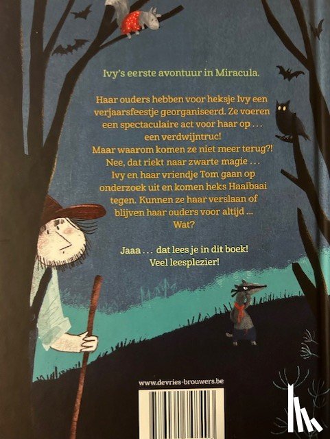 Keilty, Derek - Heksje Ivy - In het oog van de storm