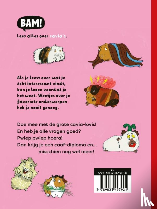 Stein, Mathilde - De grote cavia-kwis