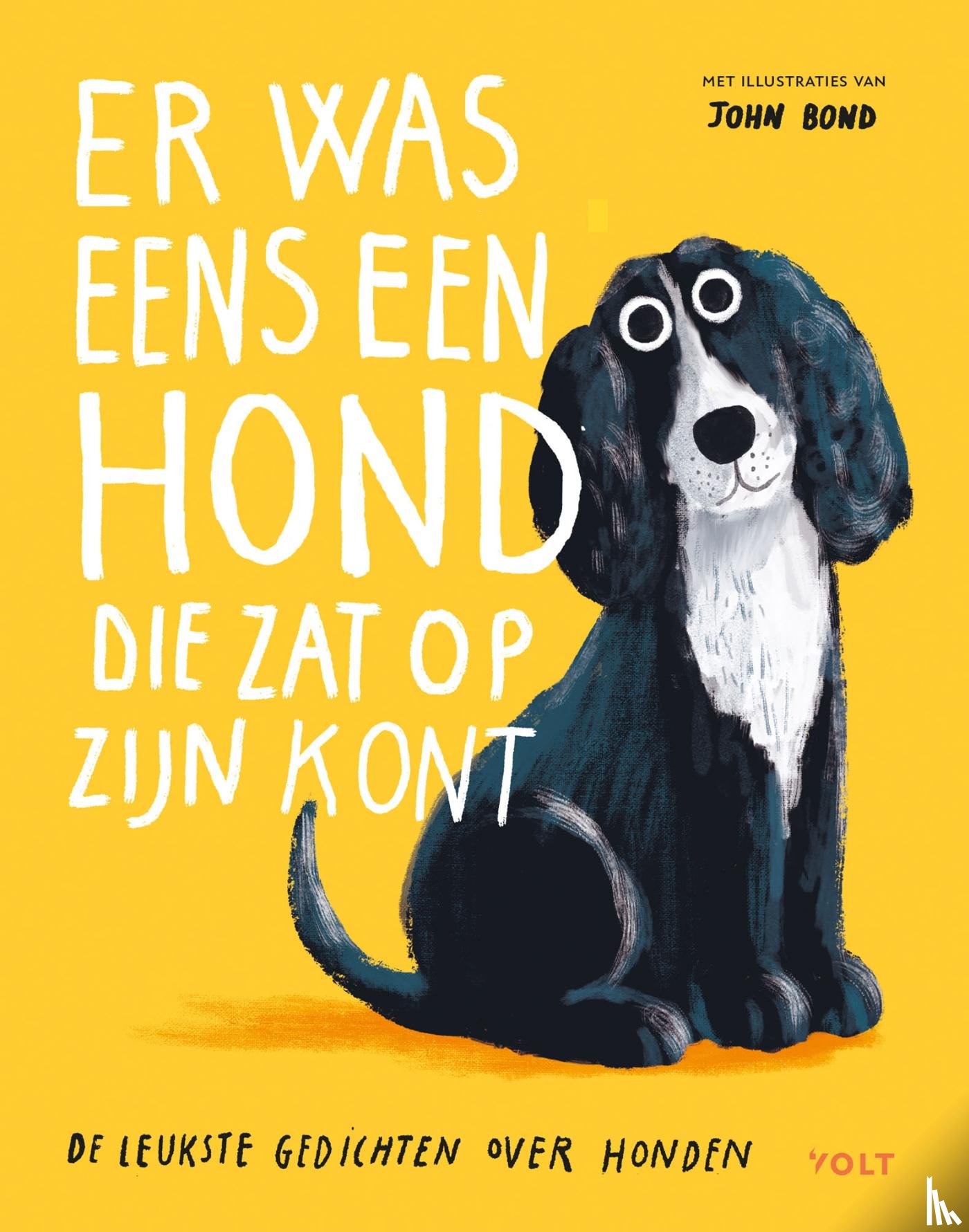 Diverse auteurs - Er was eens een hond die zat op z’n kont