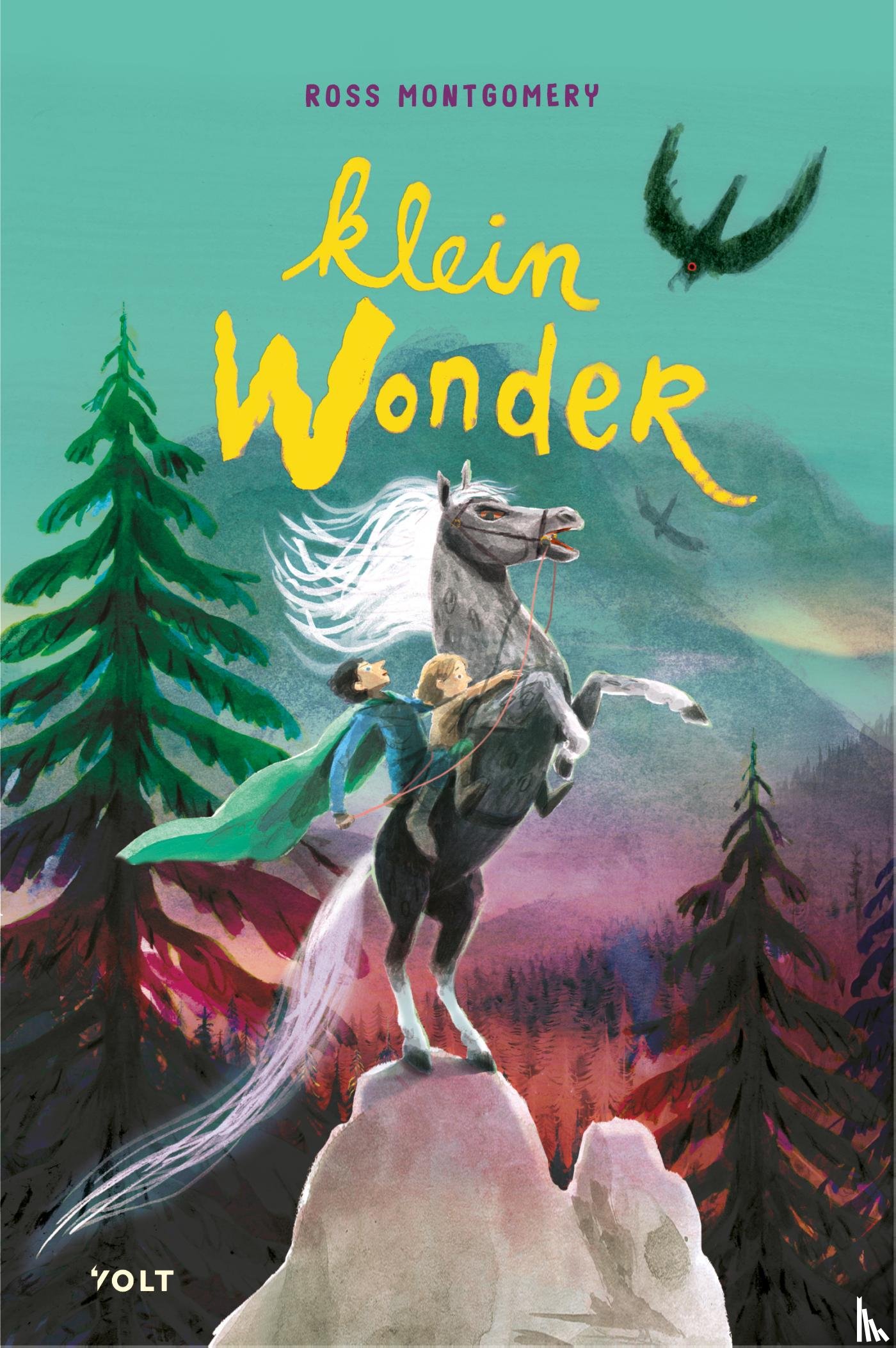 Montgomery, Ross - Klein wonder