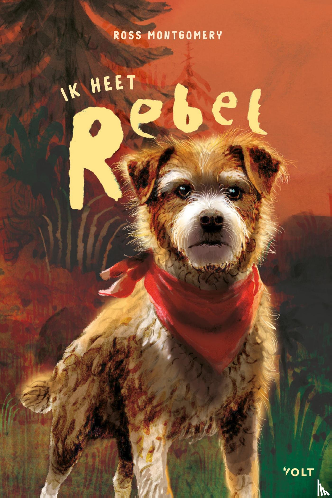 Montgomery, Ross - Ik heet Rebel