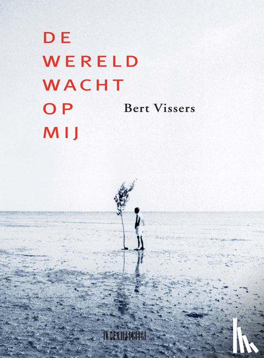 Vissers, Bert - De wereld wacht op mij