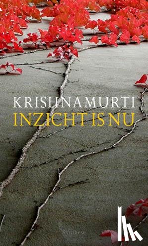 Krishanamurti, J. - Inzicht is nu
