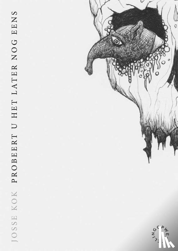 Kok, Josse - Probeert u het later nog eens
