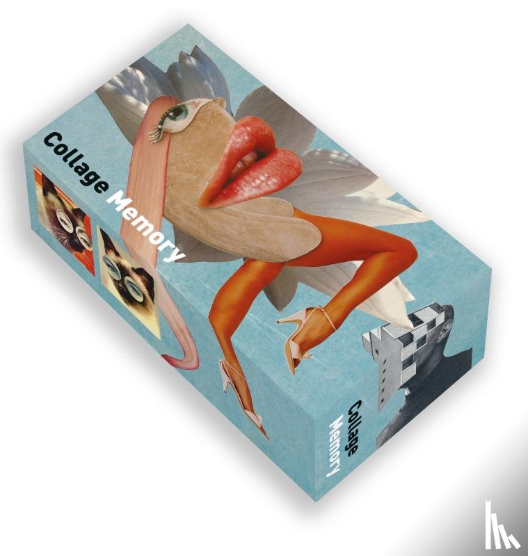 Brunt, Anja - Collage memory game
