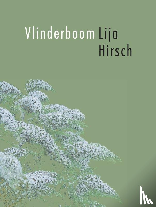 Hirsch, Lija - Vlinderboom