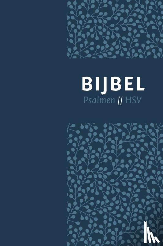  - Bijbel (HSV) met psalmen - blauw leer met zilversnee en duimgrepen
