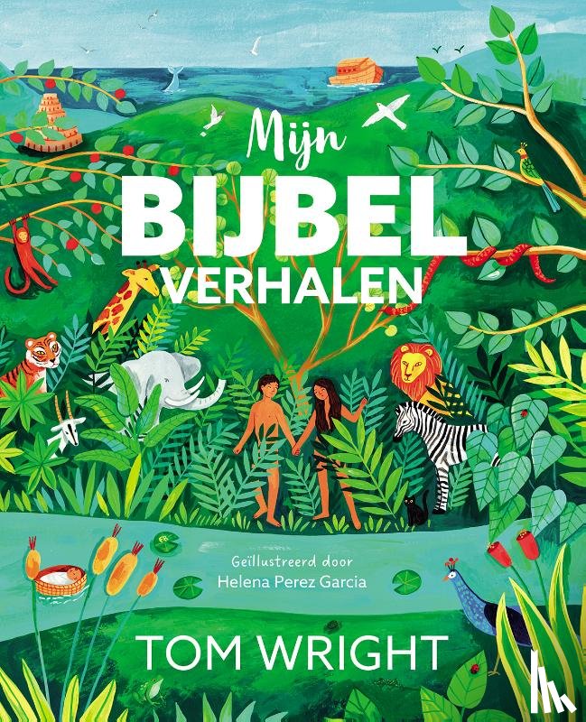 Wright, Tom - Mijn bijbelverhalen
