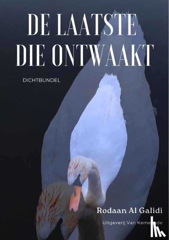 Al Galidi, Rodaan - De laatste die ontwaakt