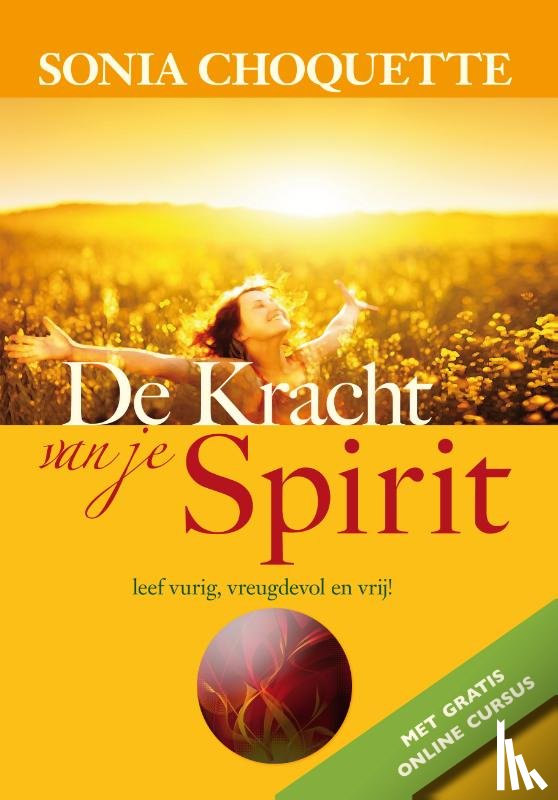 Choquette, Sonia - De kracht van je spirit
