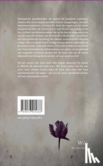 Açka, Flutura - Late tulpen