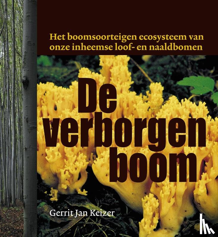 Keizer, Gerrit Jan - De verborgen boom