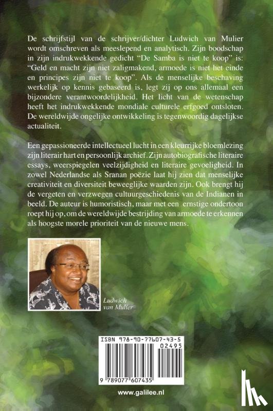 Mulier, Ludwich van - Jana